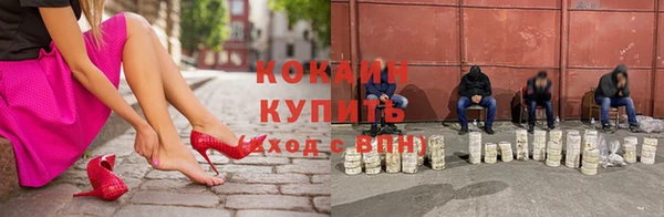 гидра Липки