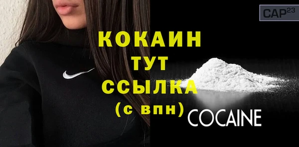 гидра Липки