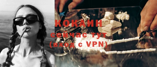гидра Липки