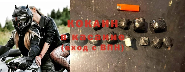гидра Липки