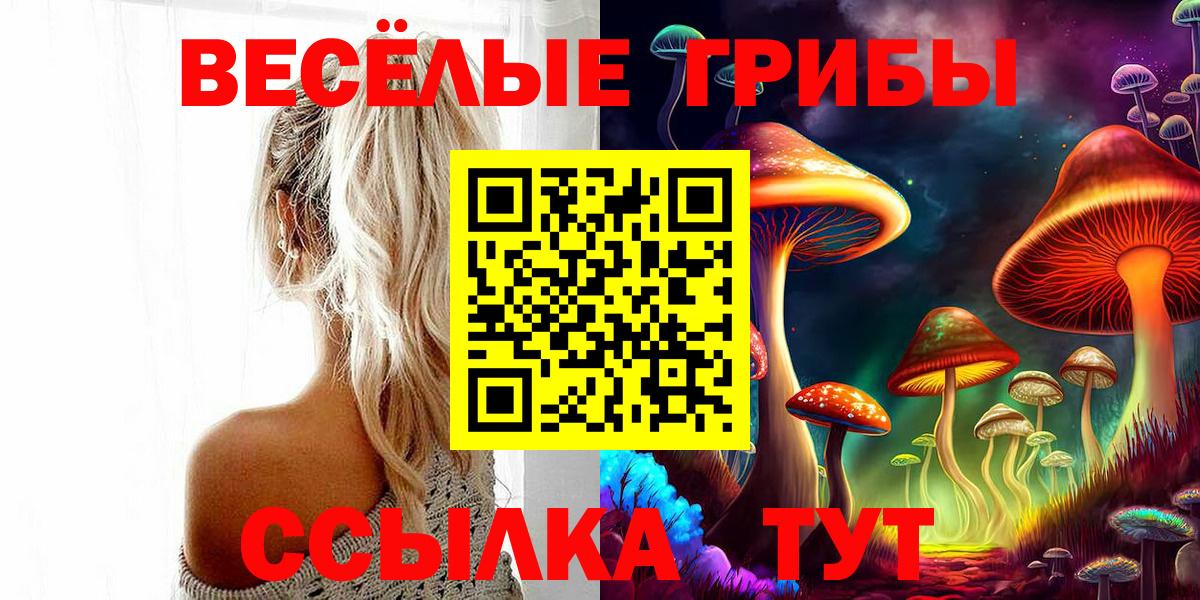 Псилоцибиновые грибы мицелий Луга