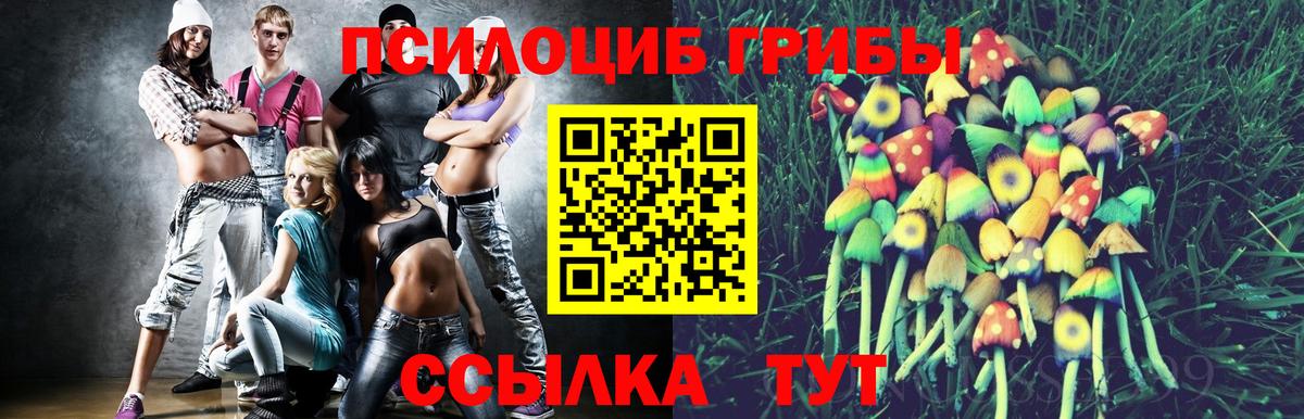 Псилоцибиновые грибы мицелий  Вход с VPN  Луга 